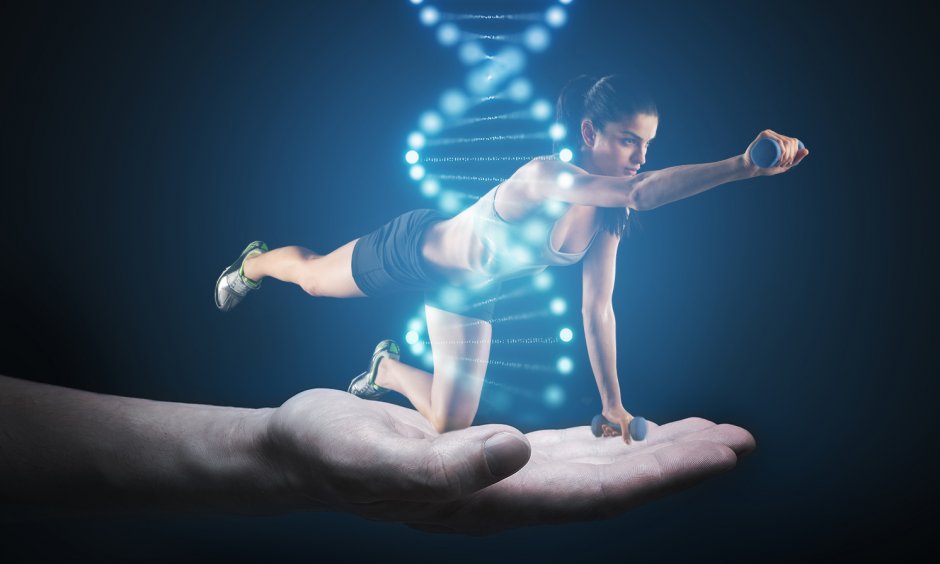 EL EJERCICIO FÍSICO MODIFICA EL ADN Y MEJORA LA SALUD CARDIOVASCULAR
